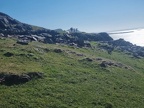 Carrigan Head Watch Tower May 2025 (12)